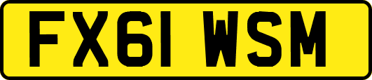 FX61WSM