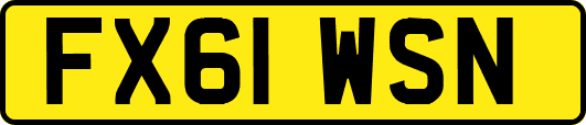 FX61WSN