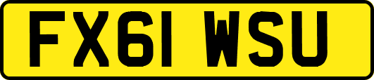 FX61WSU