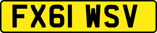 FX61WSV