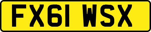 FX61WSX