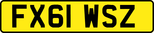 FX61WSZ