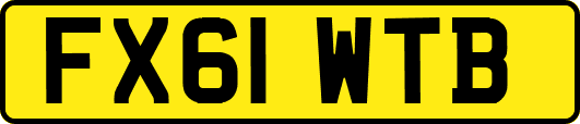 FX61WTB