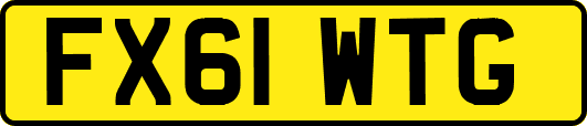 FX61WTG