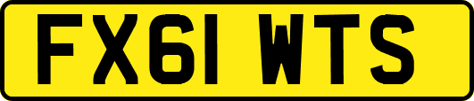 FX61WTS