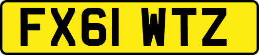 FX61WTZ