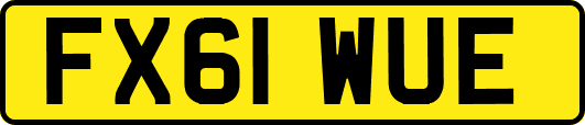 FX61WUE