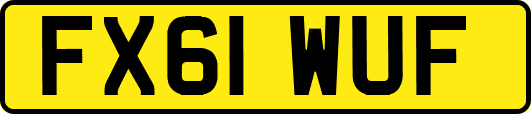 FX61WUF