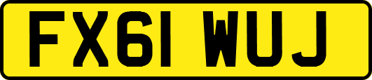 FX61WUJ