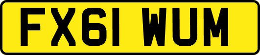 FX61WUM