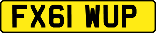 FX61WUP