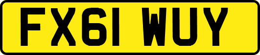 FX61WUY