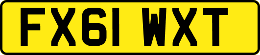 FX61WXT