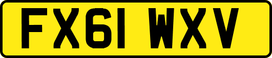 FX61WXV