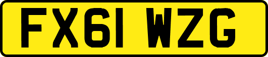 FX61WZG