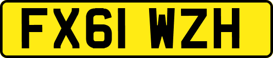 FX61WZH