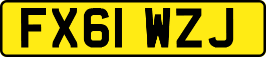 FX61WZJ