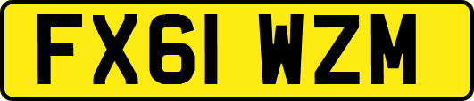FX61WZM