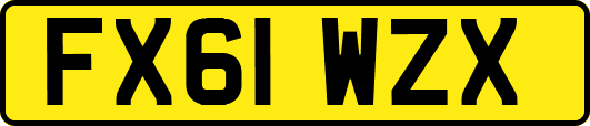 FX61WZX