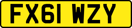 FX61WZY