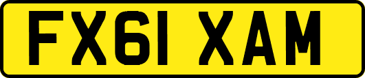 FX61XAM