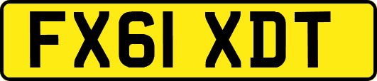 FX61XDT
