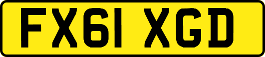 FX61XGD