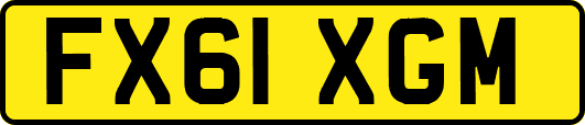FX61XGM