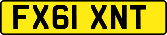 FX61XNT