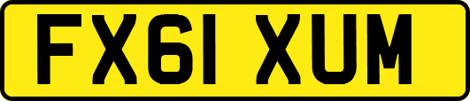 FX61XUM