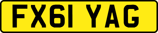 FX61YAG