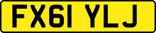 FX61YLJ
