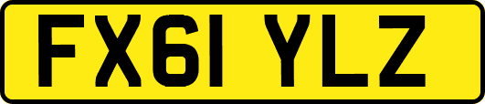 FX61YLZ