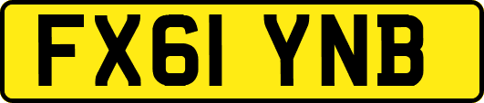 FX61YNB