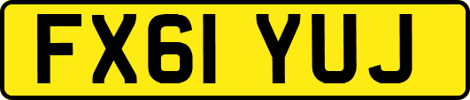 FX61YUJ