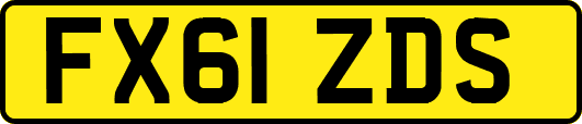 FX61ZDS