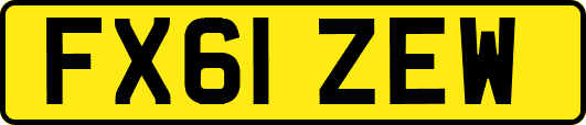 FX61ZEW