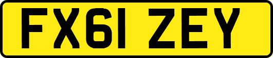 FX61ZEY