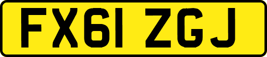 FX61ZGJ