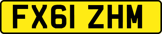 FX61ZHM
