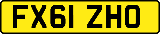 FX61ZHO