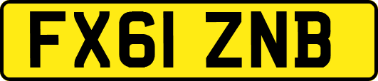 FX61ZNB