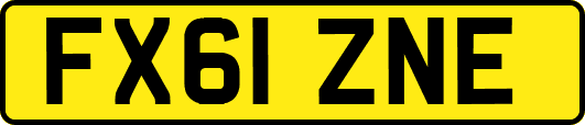 FX61ZNE