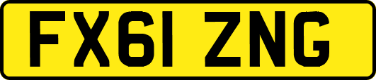 FX61ZNG