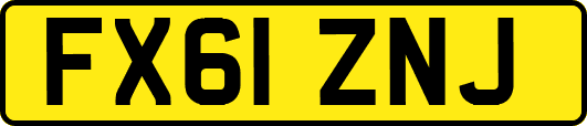 FX61ZNJ