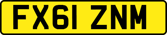 FX61ZNM