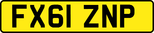 FX61ZNP