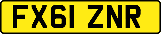 FX61ZNR