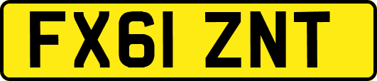 FX61ZNT