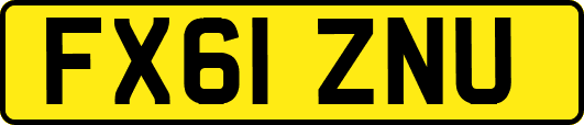 FX61ZNU